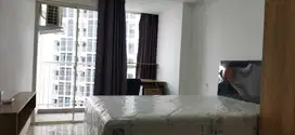 Disewakan Apartemen Pacific Garden Deket Binus Alam sutera