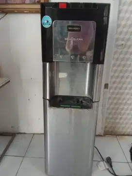 Sharp masi normal