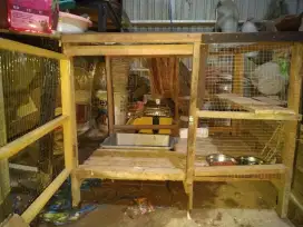 Kandang kucing kokoh