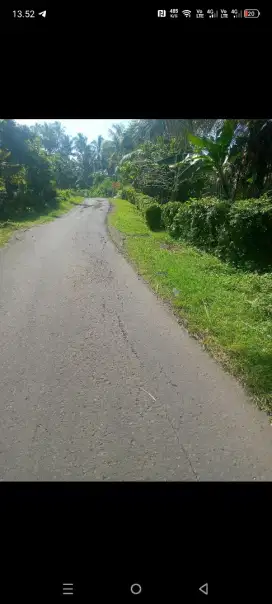 Dijual tanah murah,15,7 are di selemadeg tabanan bali