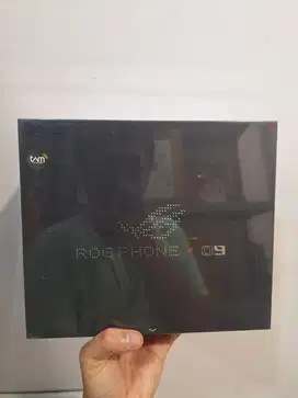 Asus ROG 9 Pro 16/512