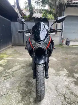 Kawasaki Z 250 2014