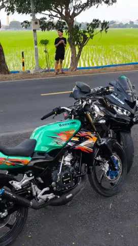 Asli ninja ss hijau