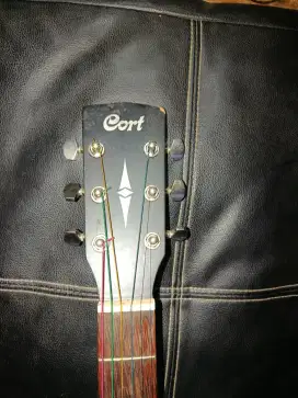 Gitar Cort AD 810