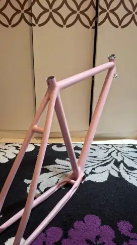 Frameset clasic custom sz 49-50