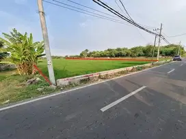 TANAH GUNUNGGEDANGAN MOJOKERTO 95128 ASSET BANK, CASH ONLY