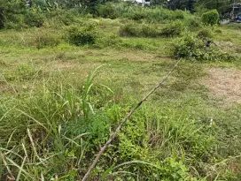 JUAL TANAH MURAH