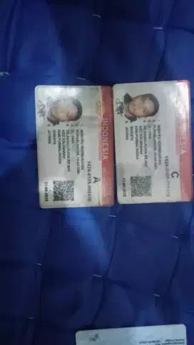 Driver atau supir pribadi