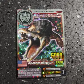 Kartu Animal Kaiser - American Alligator - 100% Original