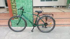 Jual sepeda genio Folkzy
