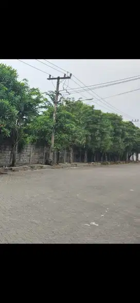 10. DIJUAL TANAH MARGOMULYO PERMAI SURABAYA BARAT