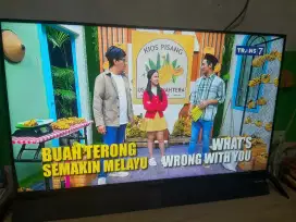 Tv Polytron 43 inc
