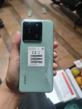 Xiaomi 13T 12/256gb Meadow green
