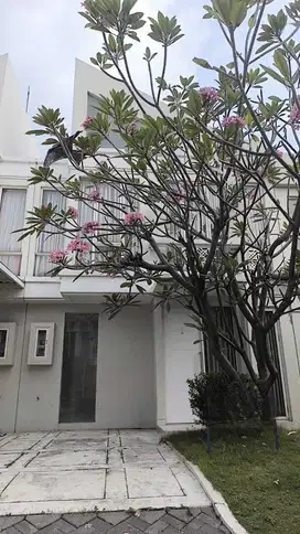 Sewa Rumah Full Furnish Murah Grand Pakuwon Tandes
