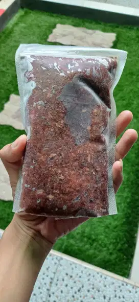 Dog food (makanan anjing)