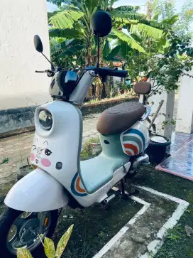 Sepeda listrik merk voxa