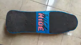 SKATEBOARD WILD RIDE