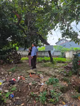 Tanah Kebun pinggir jalan