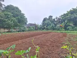 Investasi Aman! Tanah SHM Dekat Terminal Pondok Cabe – Depok