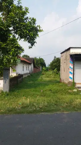 Jual cepat tanah saja