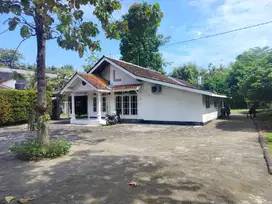 TANAH LUAS LOKASI STRATEGIS DEKAT STADION MAGUWOHARJO