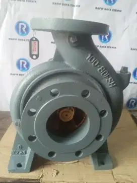 Pompa Ebara 100x80 FSHA GP / Ebara Pump 100x80 FSHA Gland Peking