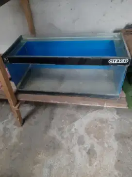 Ikan dan aquarium