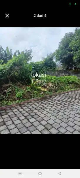 Dijual tanah murah,1,5 are di darmasaba badung dekat ke denpasar