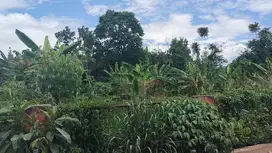 Di Jual Tanah Murah di Mekarwangi Cisauk Tangerang Banten
