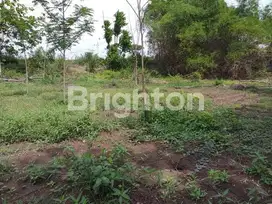 TANAH DI TANJANGRONO MOJOKERTO COCOK BUAT INDUSTRI RINGAN