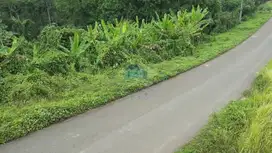 Di Jual Tanah Industri di Jln Raya Gunung Antem Cimarga Rangkas Lebak
