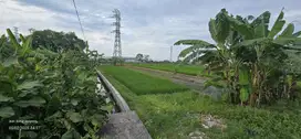 Pasuruan. Desa beji. Lahan industri