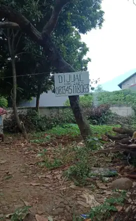 Tanah Kebun Pinggir Jalan 262 M2