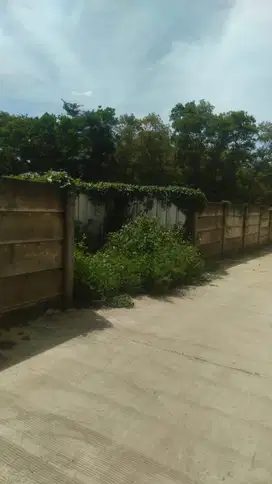 Di Jual Tanah Murah di Ciodeng Palasari Legok Tangerang