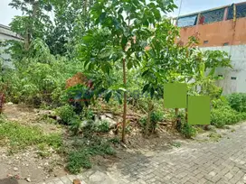 Tanah Jual Area Tlogomas Dekat Kampus,Mal Dinoyo Cocok untuk Investasi