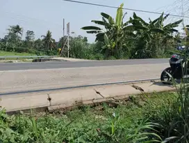 Di Jual Tanah di Jln Jengkol Raya Babakan Setu Tangerang Selatan