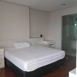 Sewa Bulanan Apartemen Mansion At Kemang Studio Full Furnished, Jaksel