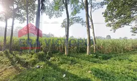 Tanah Jual Lokasi Cocok untuk dibangun Gudang