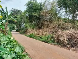 Di Jual Tanah di Sindang jaya Pasar kemis Cikupa Tangerang