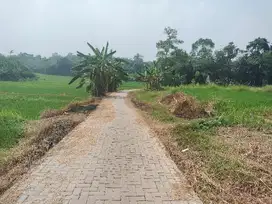 Di Jual Tanah Industri di Margasari Kutruk Tigaraksa Tangerang