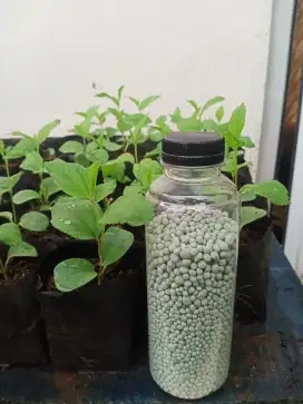 Pupuk npk grower