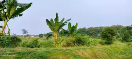 Pasuruan. Pandaan. Desa kemisik. Murah