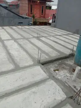 Panel lantai 10 x 60 x 300