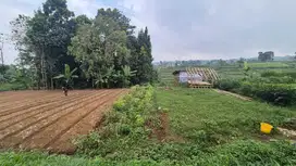 Dijual Tanah Strategis di Cipageran Cimahi Hadap Barat Siap Bangun