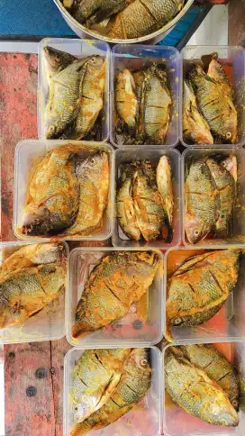 Ikan nila mujaer marinasi
