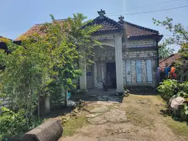 Rumah Kelurahan Donomulyo Kecamatan Kembang Bahu Lamongan