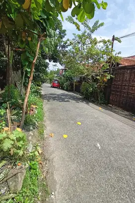 Kavling FREE SHM Di Ciomas Bisa 12x Cicilan