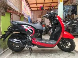 PJK HIDUP 10/25 HONDA SCOOPY ISS 2024 HRG PAS BS TT 2023 DI CILEDUG