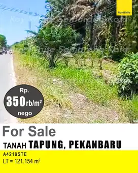 DIJUAL TANAH DI TAPUNG PEKANBARU A4219