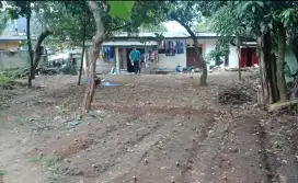 Jual cepat tanah  kebun 262 M2